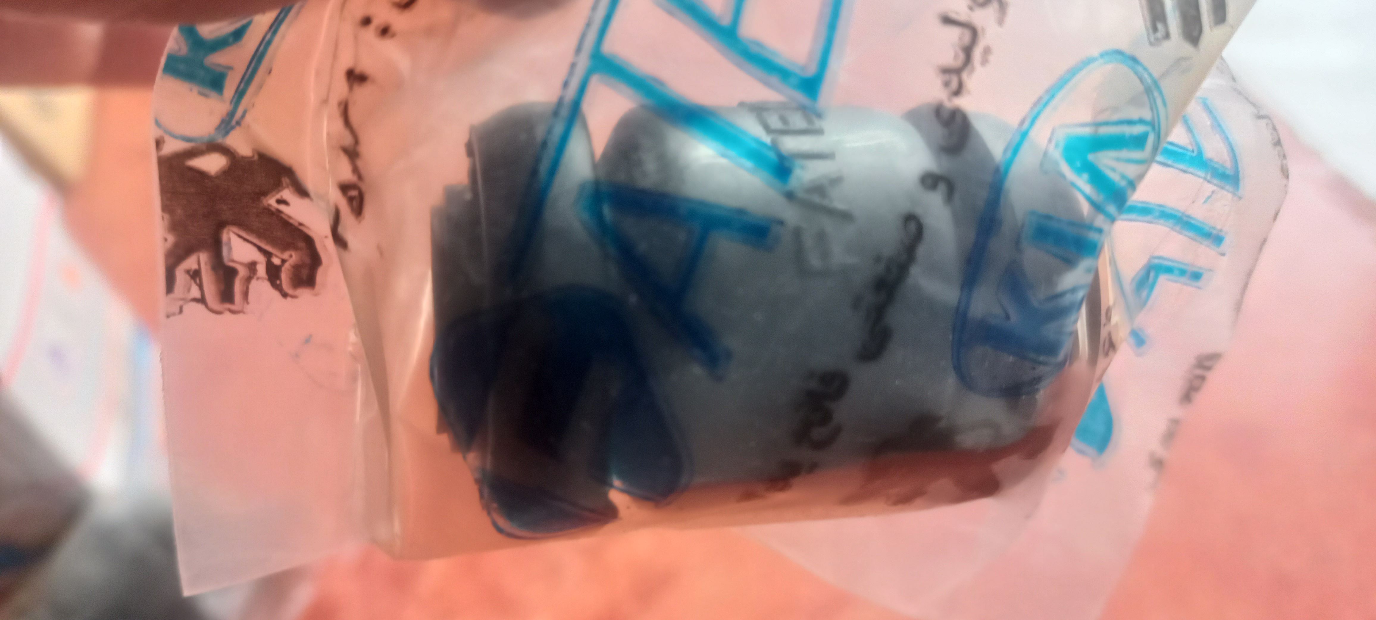 بوش طبق پراید